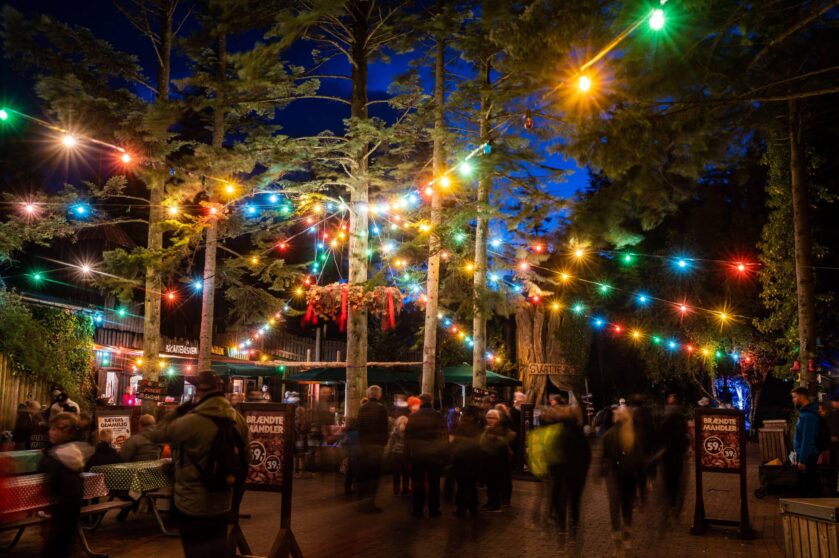 A crowd walks under colorful string lights in a forested park at night. The lights hang between tall trees, creating a festive atmosphere. Some people are sitting at tables, while others stroll among food stands.