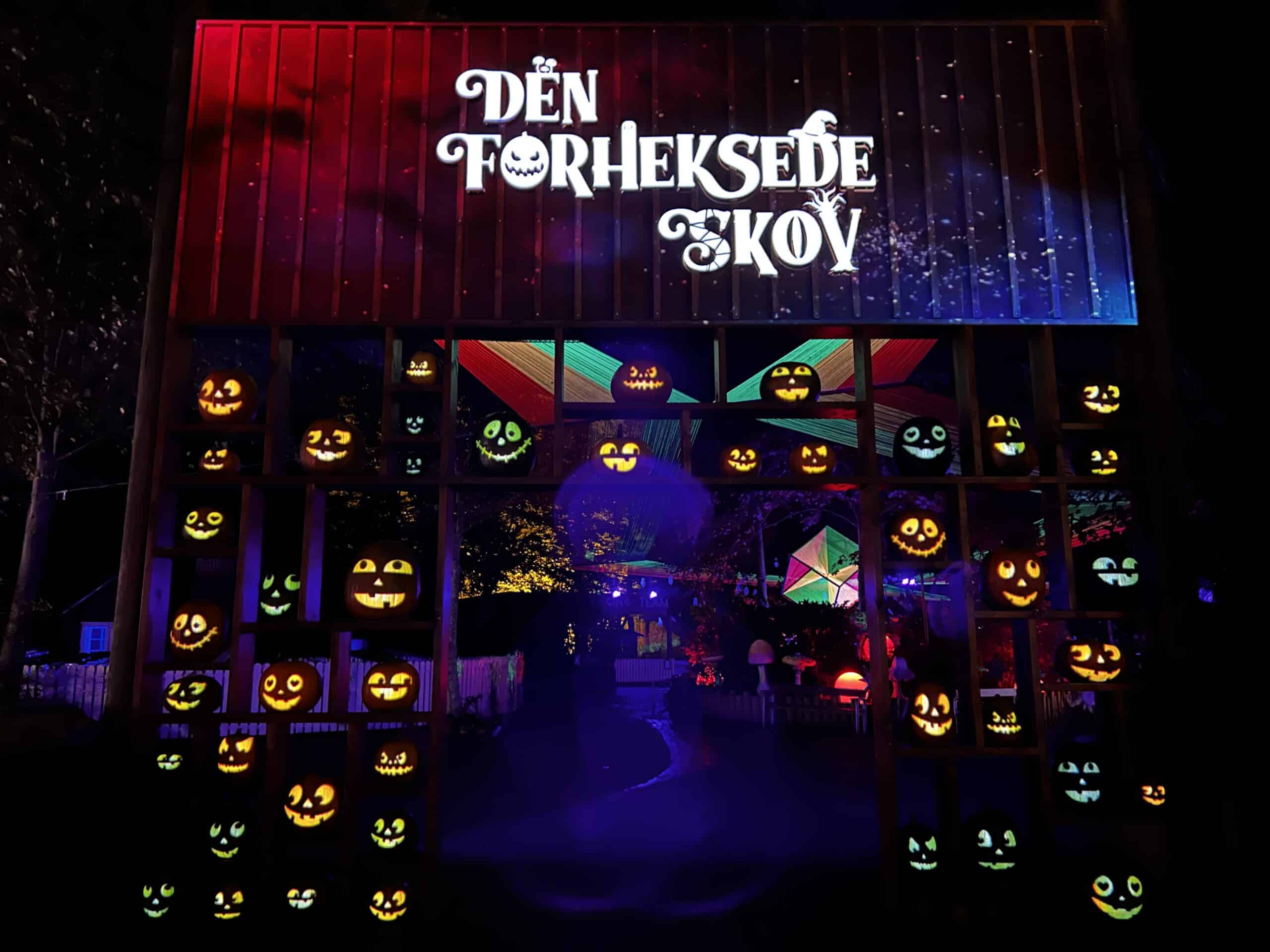 A nighttime scene with glowing, carved jack-o-lanterns arranged on a wall under a sign reading Den Forheksede Skov. Colorful lights illuminate a path leading into a forest.